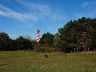 Holiday house Burgh-Haamstede Environment 21