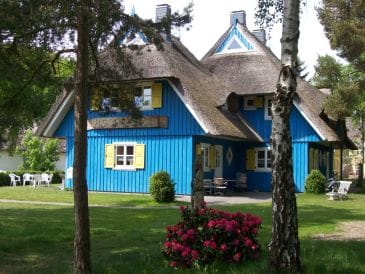 Landhaus Reetdachhaus Seestern