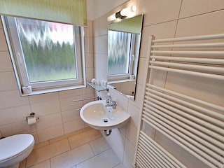 Tageslicht-Bad mit DU/WC