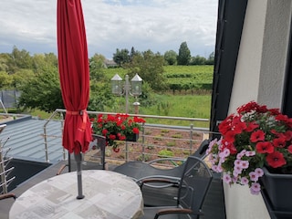 Die Terrasse und der Ausblick in die Weinberge