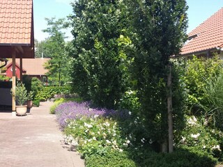 Garten, überdachte Terrasse