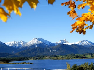 Hopfensee