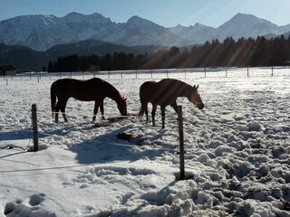 Ferienwohnung Füssen Außenaufnahme 8