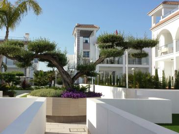 Holiday apartment Los Olivos