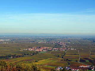 Appartamento per vacanze Silz (Pfalz) Ambiente 24