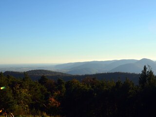 Appartamento per vacanze Silz (Pfalz) Ambiente 25