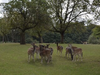 Appartamento per vacanze Silz (Pfalz) Ambiente 27