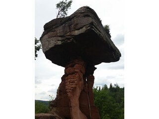 Appartamento per vacanze Silz (Pfalz) Ambiente 28