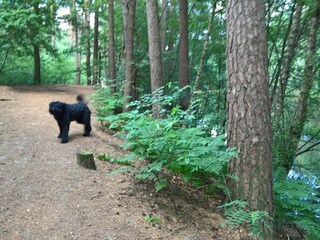 Apartamento de vacaciones Oerlinghausen Entorno 17