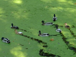 Appartamento per vacanze Oerlinghausen Ambiente 18