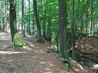 Vakantieappartement Oerlinghausen Omgeving 21