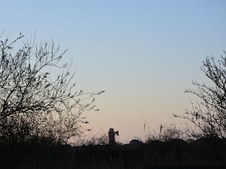 Blick zum Wasserturm