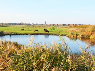 Panoramablick vom alten Deich auf Borkum