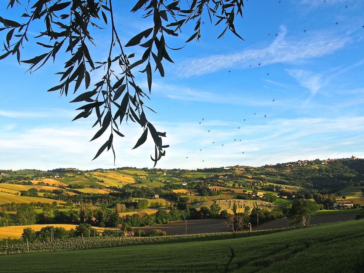 Blick vom Hügel der Casa Montale