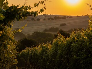 Casa per le vacanze Montecarotto Ambiente 28