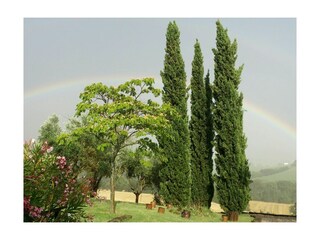 Casa per le vacanze Montecarotto Ambiente 29