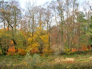 Ausblick vom Balkon