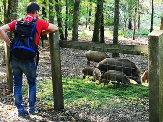 Wildpark Landsberg