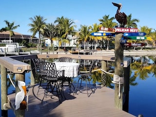 Watch the jumping fish in the canal