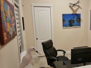 Villa Cape Coral Caratteristiche 32