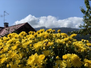 Appartamento per vacanze Riezlern Ambiente 29