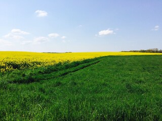 Appartamento per vacanze Radeburg Ambiente 19