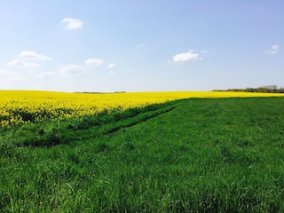 Appartement de vacances Radeburg Environnement 17