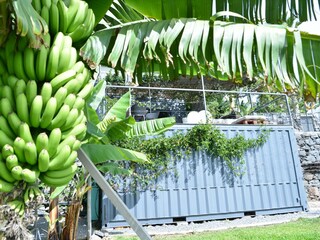 Appartamento Arco da Calheta Registrazione all'aperto 12