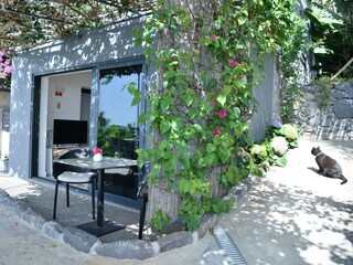 Appartamento Arco da Calheta Registrazione all'aperto 15