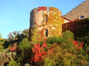 Holiday apartment Baderon de Maussac
