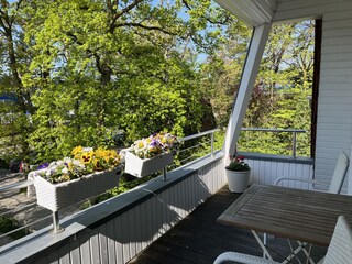 Vakantieappartement Timmendorfer Strand Omgeving 12