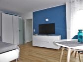 Combined living-sleeping room with large flatscreen TV