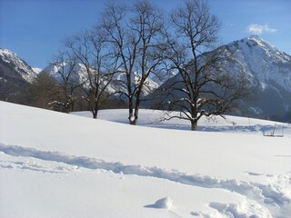 Vakantieappartement Oberstdorf Omgeving 17