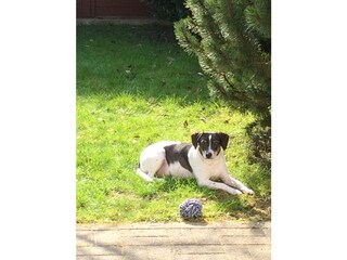 Appartamento per vacanze Bredene Registrazione all'aperto 5