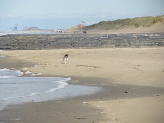 Appartamento per vacanze Bredene Ambiente 16