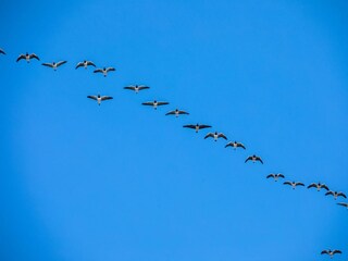 Apartment Juist Außenaufnahme 16