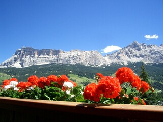 Holiday apartment La Villa Outdoor Recording 4