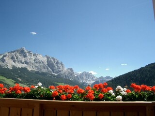 Panorama App. Sotbosch