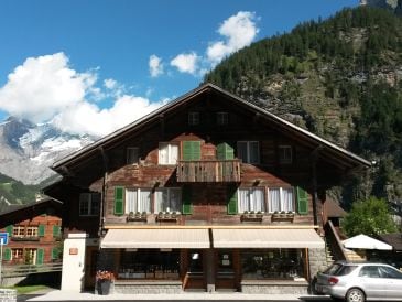 Ferienwohnung Chalet am Irfig
