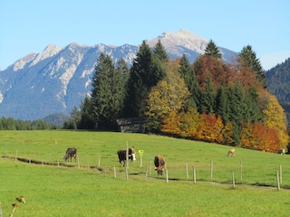 Blick auf unsere Wiesen vom Bauerngarten aus