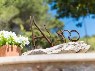 Villa Alaró Buitenaudio-opname 16