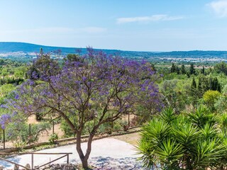 Villa Alaró Buitenaudio-opname 19