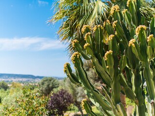 Villa Alaró Registrazione all'aperto 3