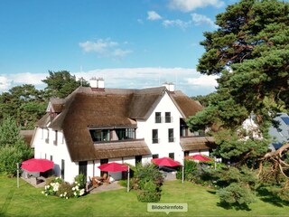 Blick auf die Gartenseite