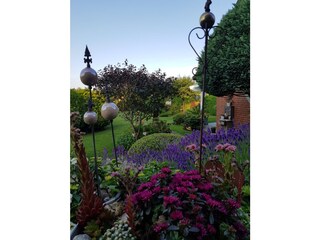 Ferienwohnung Röbel Müritz Außenaufnahme 24