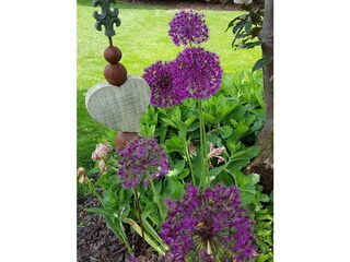 Ferienwohnung Röbel Müritz Umgebung 32