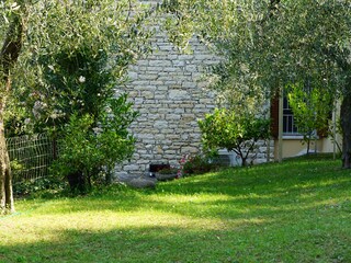 Appartamento per vacanze Brenzone sul Garda Registrazione all'aperto 9