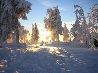 Winter auf dem Wurmberg