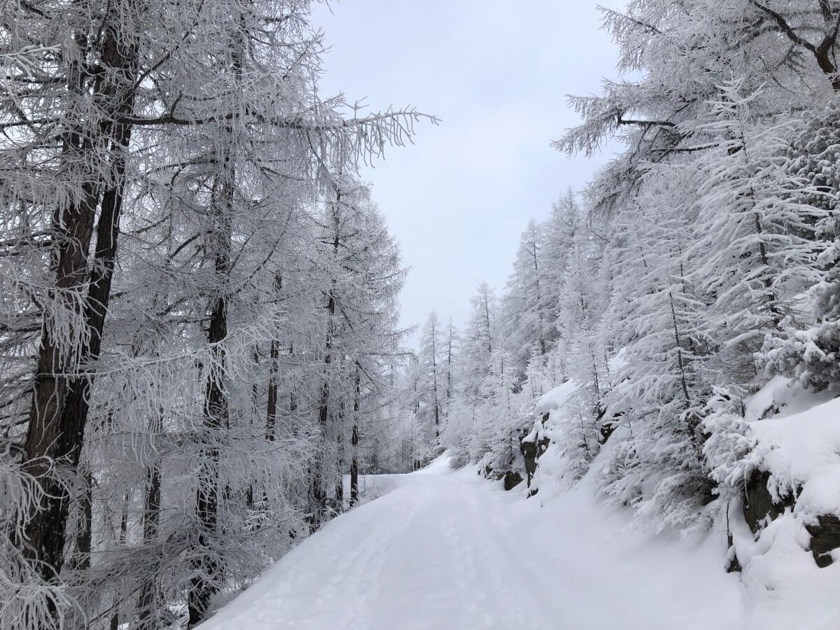 Chalet Staldenried Umgebung 19