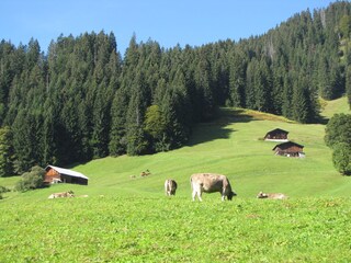 Vakantieappartement Oberstdorf Omgeving 13
